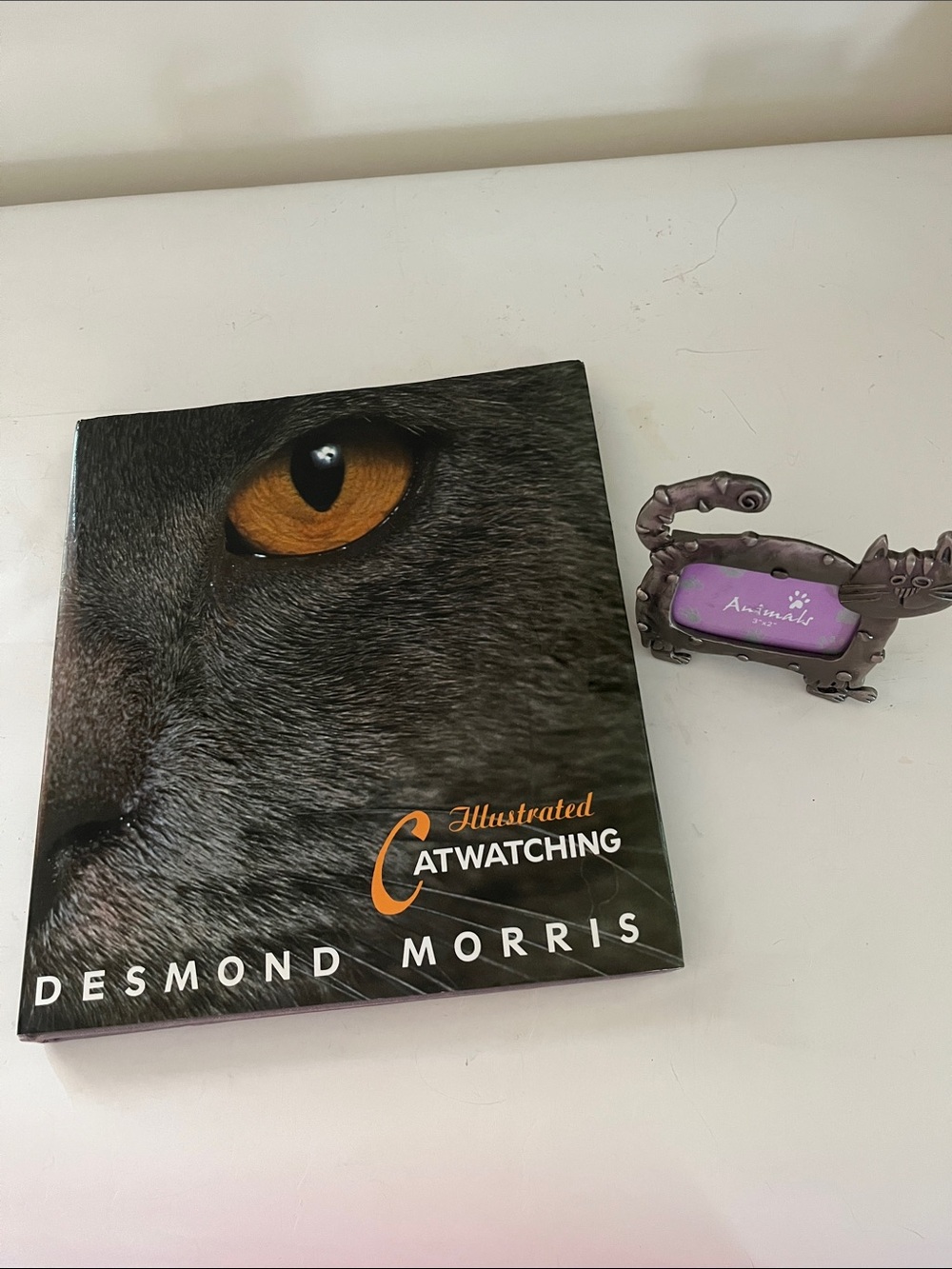 Cat Watching by D. Morris and pewter look cat shaped picture frame.